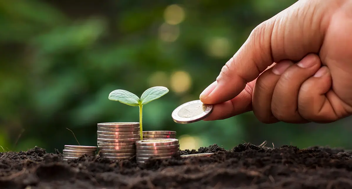 From Tiny Acorns to mighty Oaks: Cultivating Wealth through Investments